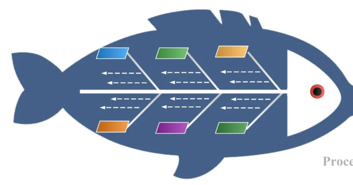 What is a fishbone diagram? You will understand after reading this ...
